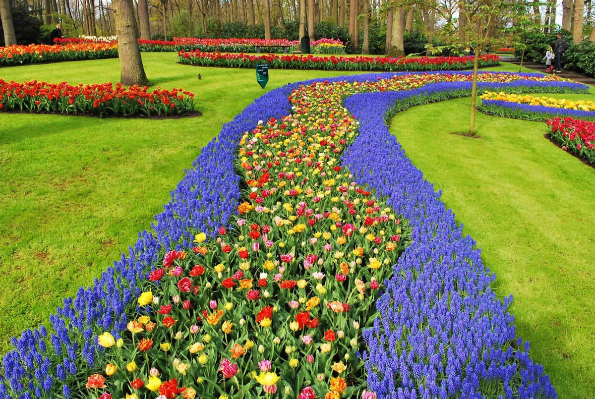 Colorful Flower Beds Forming Patterns in a Spring Garden