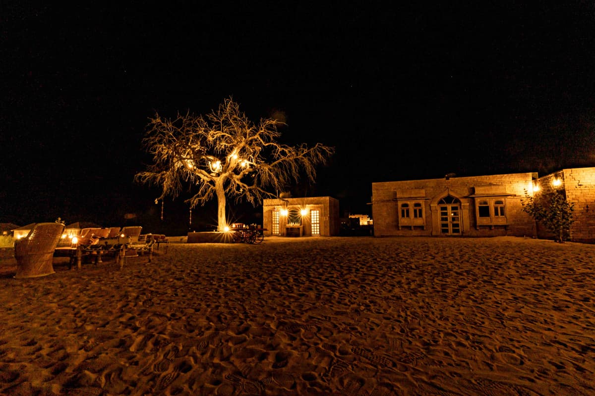 Scène nocturne du désert avec arbre et bâtiment illuminés