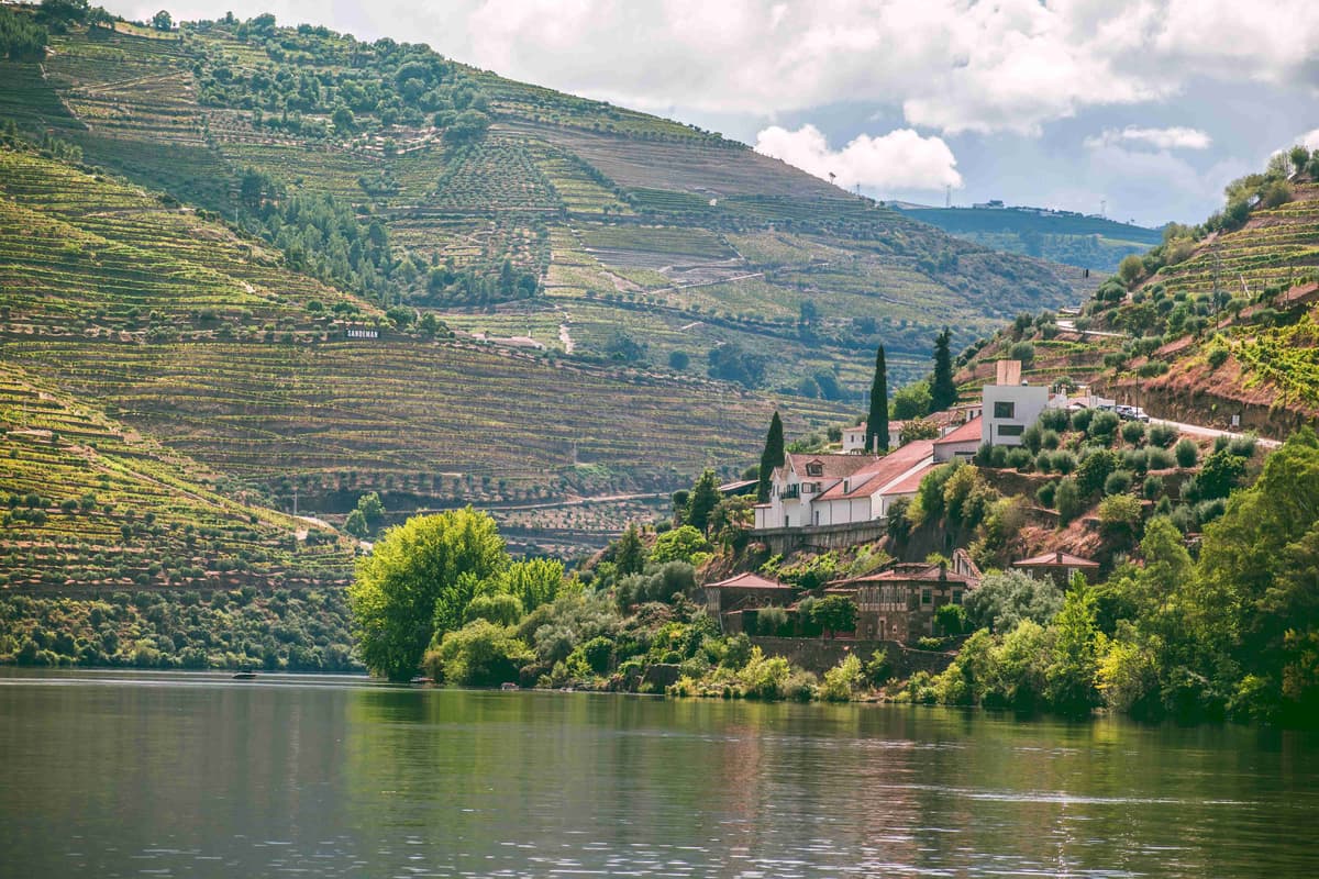 Douro Valley Vineyards Portugal