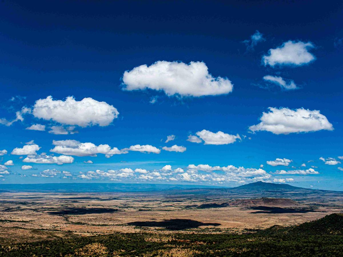 Expansive African Plains Under Cumulus Clouds