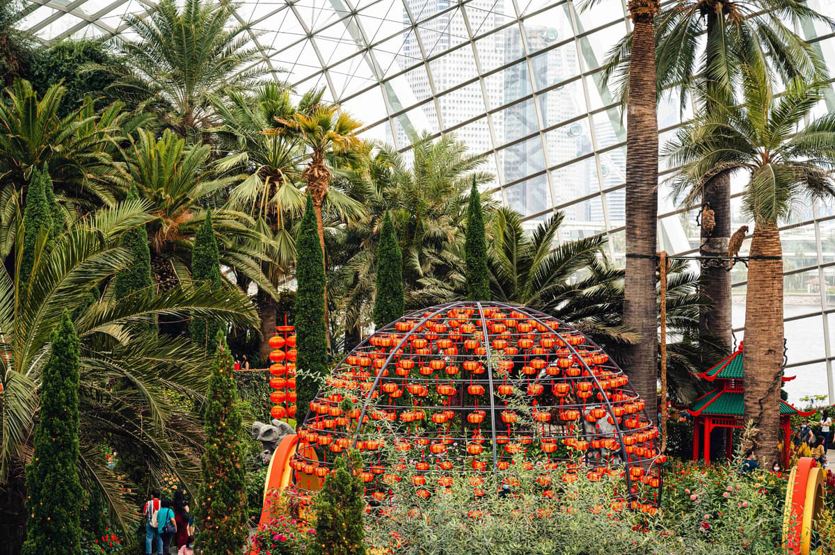 Flower Dome Festive Decorations with Tropical Palms