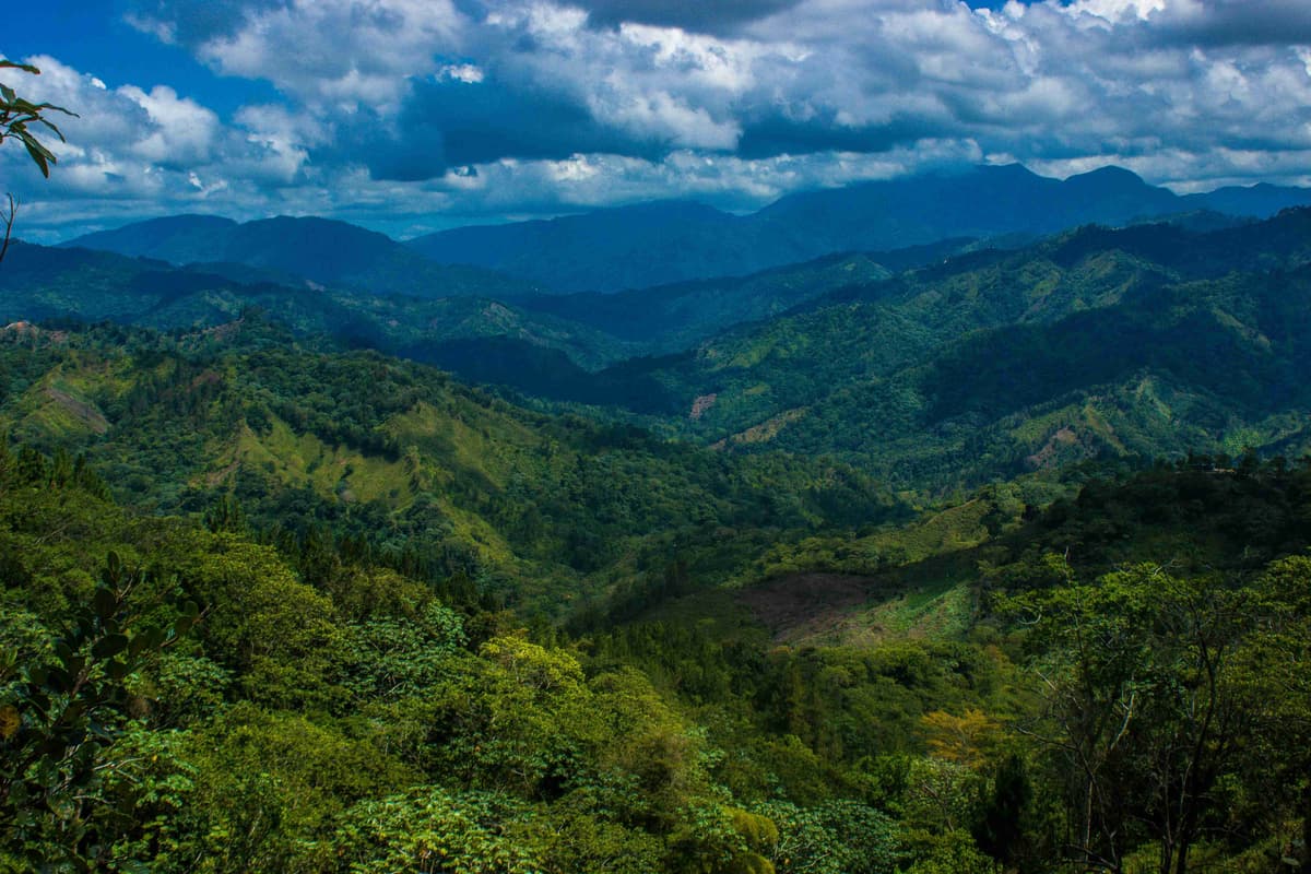 Pemandangan Banjaran Gunung Hijau yang Rimbun