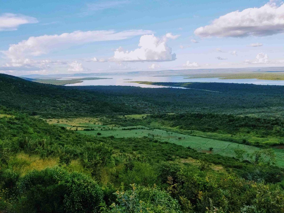 Buja zöld völgy tóval a távolban