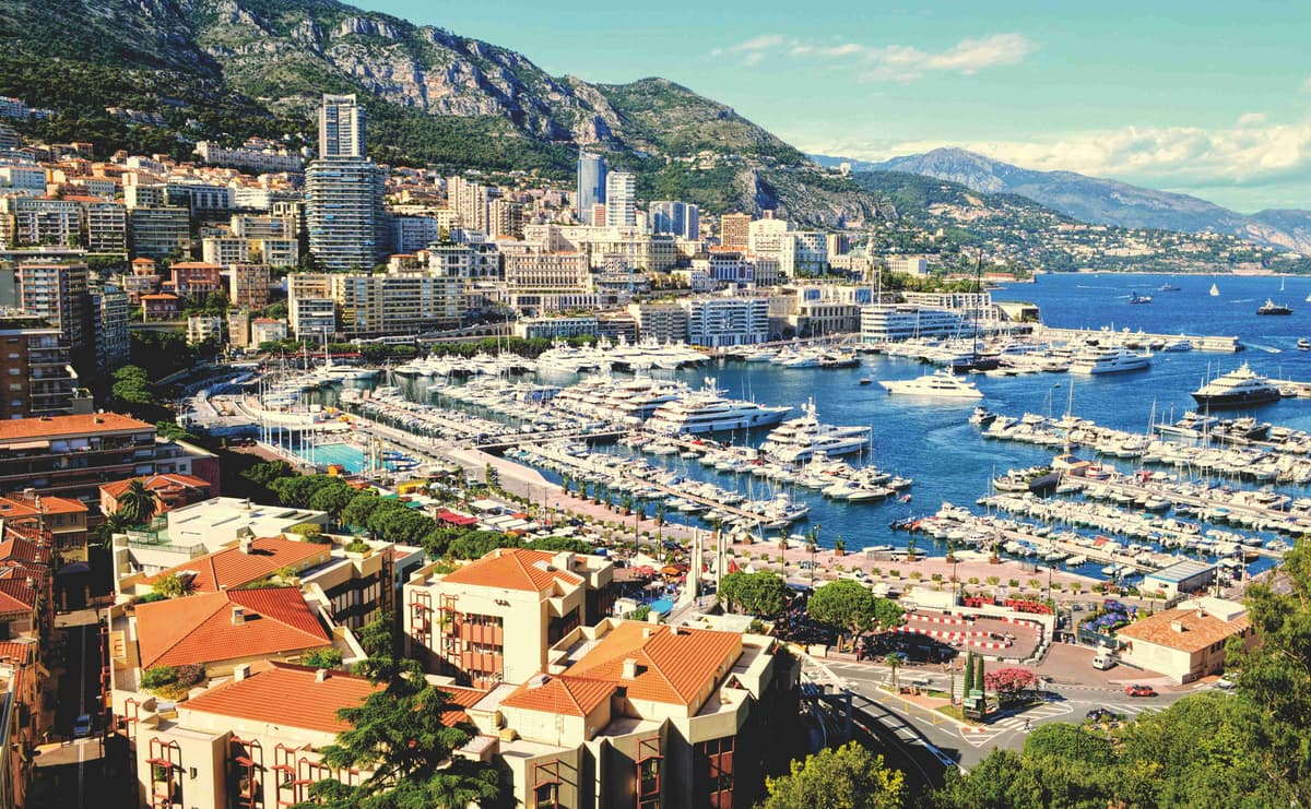 Luxurious Marina with Yachts and Urban Backdrop