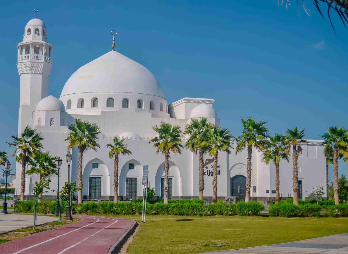 Moderni valkoinen moskeija palmuilla