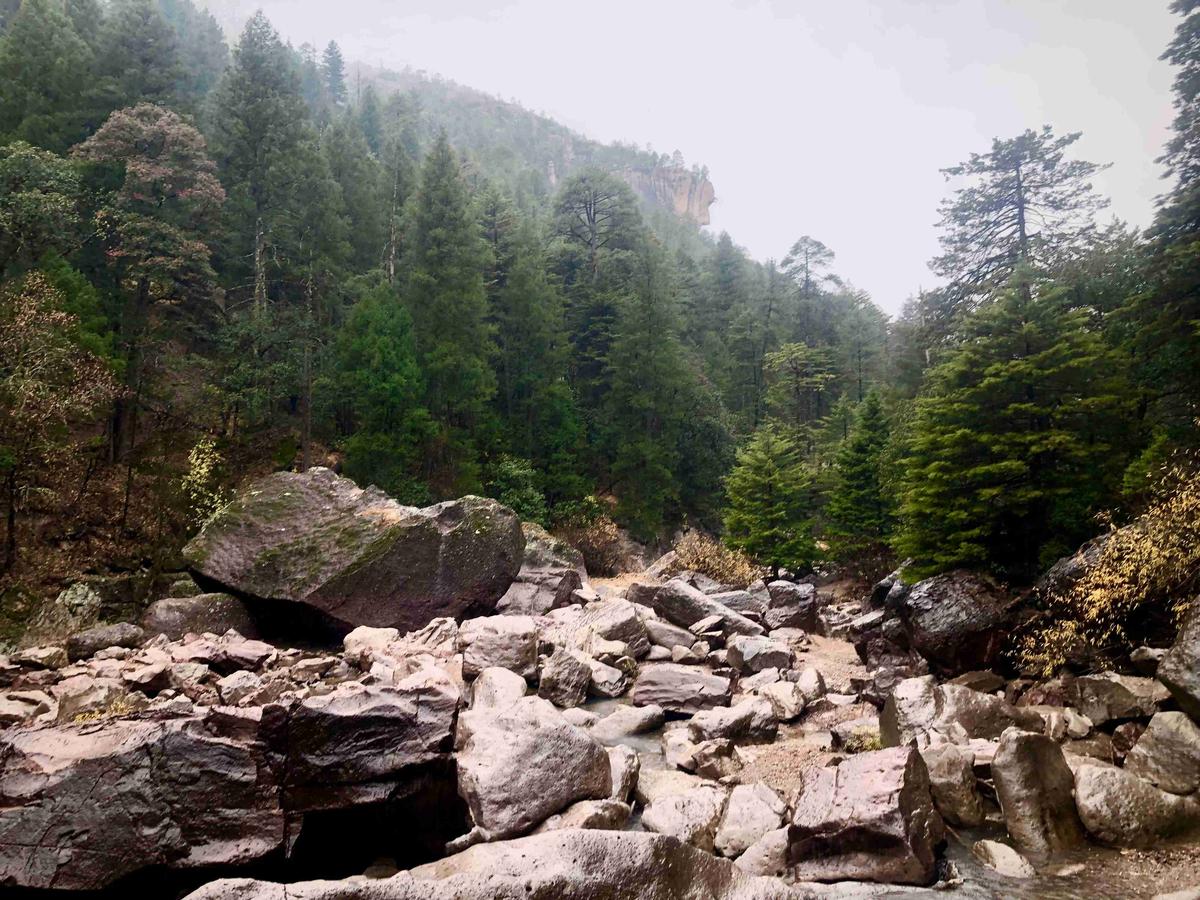 Mountain Forest Boulder Stream
