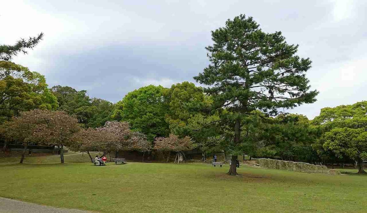 나라 공원 - 나라, 일본