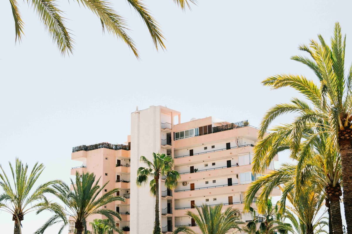 Palm Trees and Apartment Building