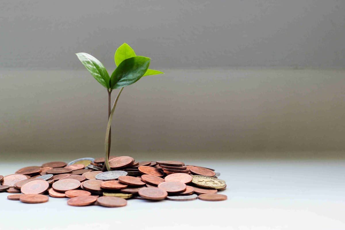 Plant Growing from Coins Concept