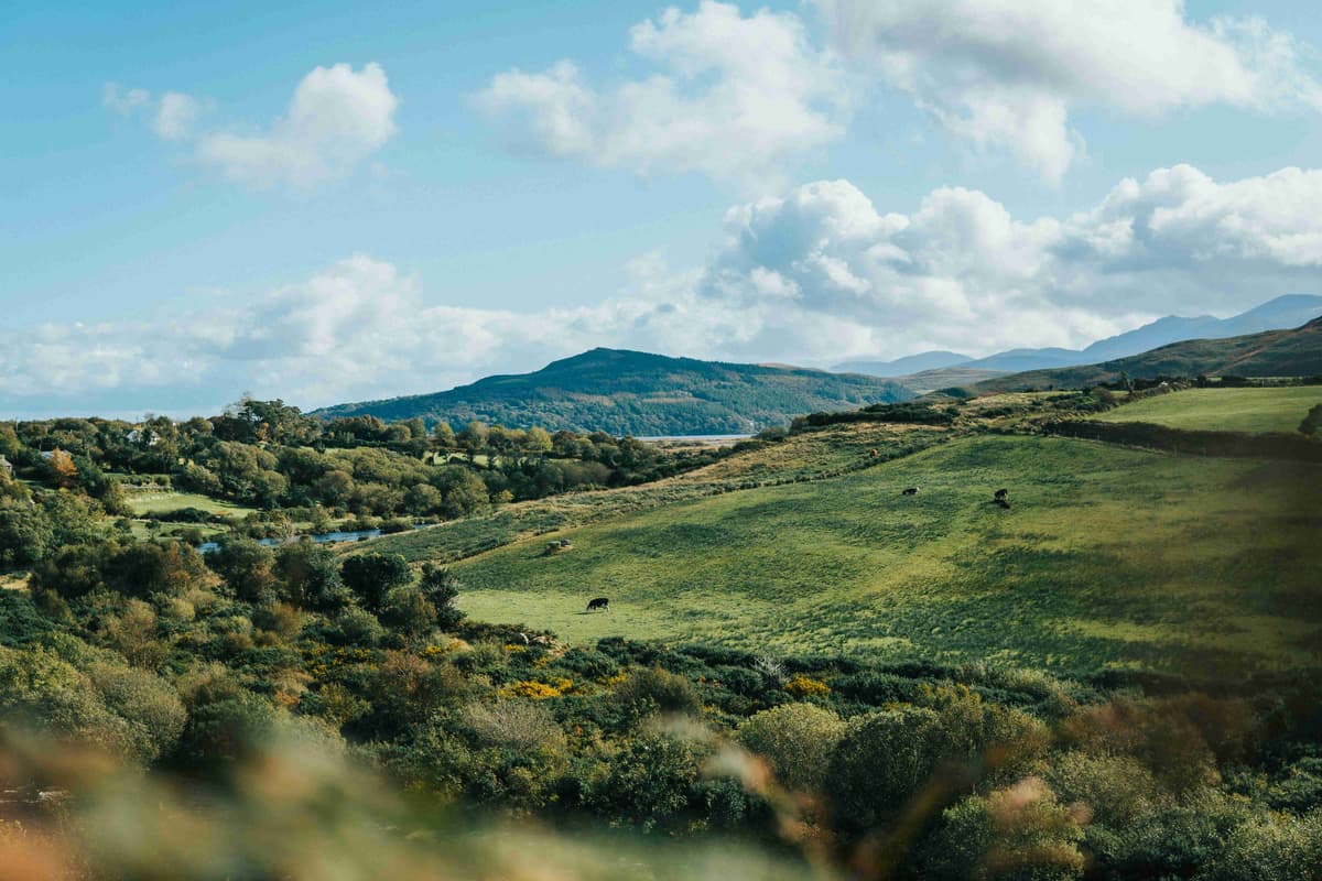 Rolling _Hills and Pastoral Landscape