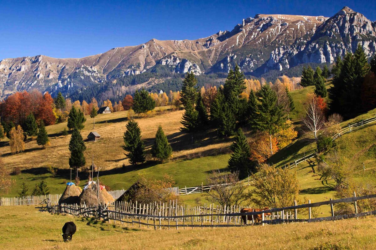 Kaimiškas ūkis su rudens lapija kalnų fone