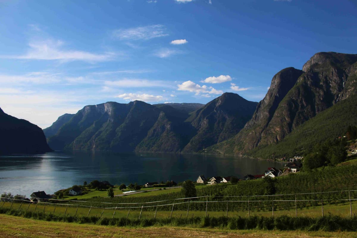 Serene Fjord with Majestic Mountains and Rural Houses