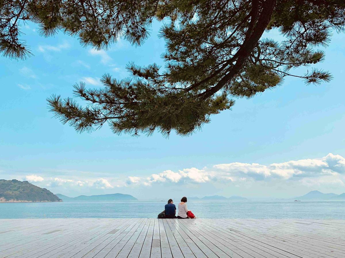 Serene Waterfront View with Couple Under  Pine Tree