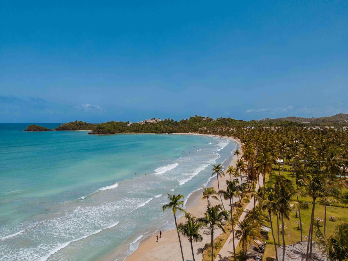 Pemandangan Udara Pantai Serenity dengan Pokok Palma