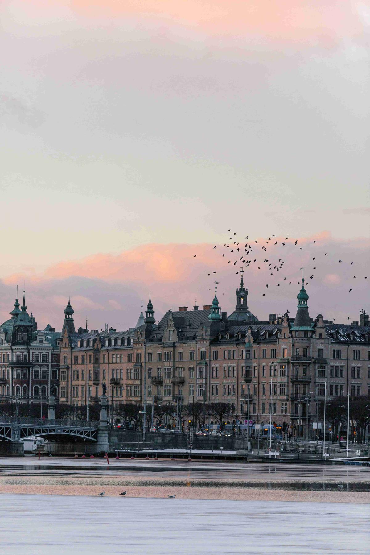 Stockholm Winter Sunset with Birds