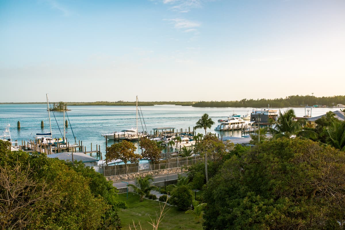Андрос-Багамы, фото Антонио Сканта.