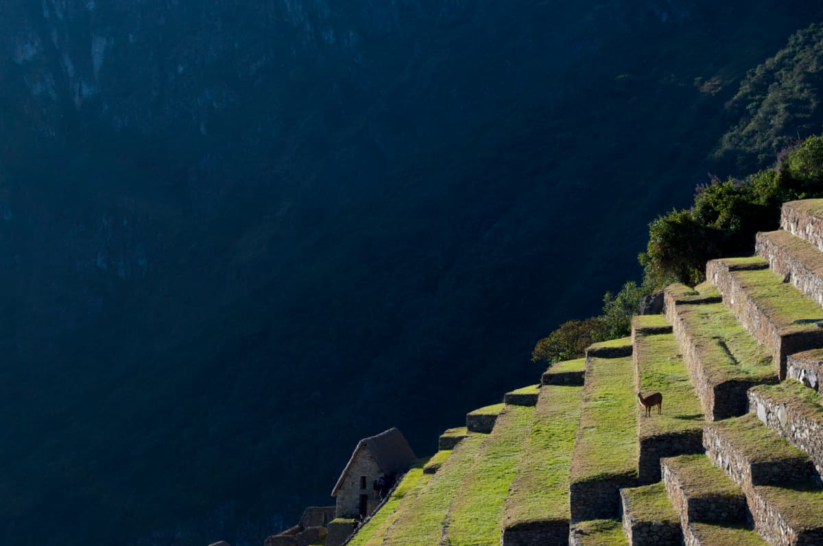 Machu Picchu raakapikselillä