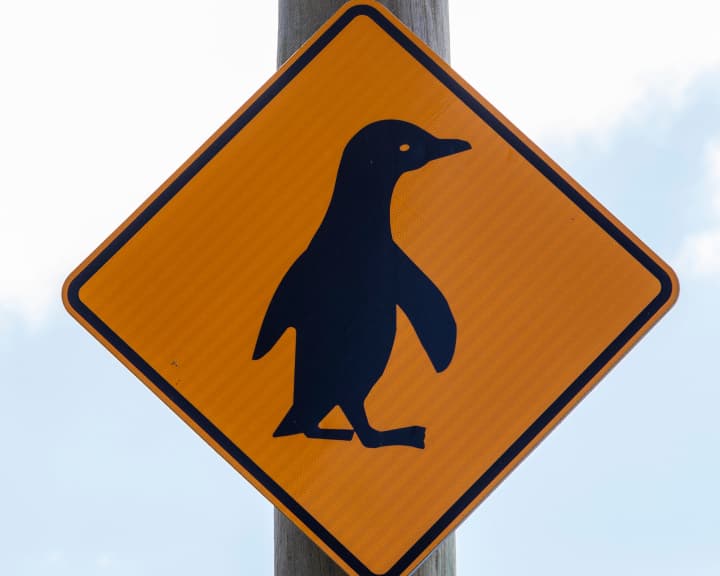 O sinal de travessia dos pinguins na Nova Zelândia