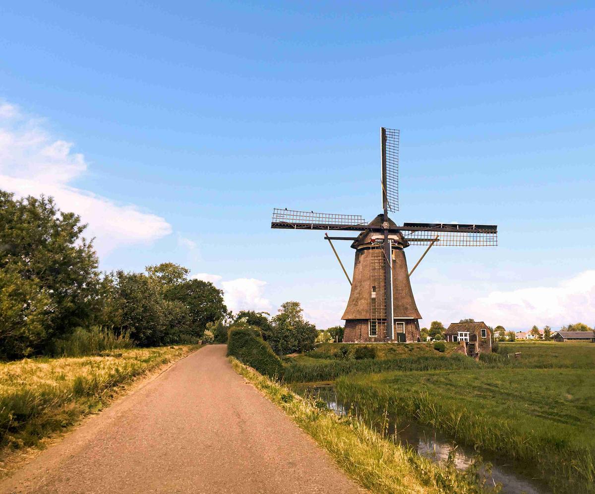 Traditional Dutch Windmill Beside Country Road