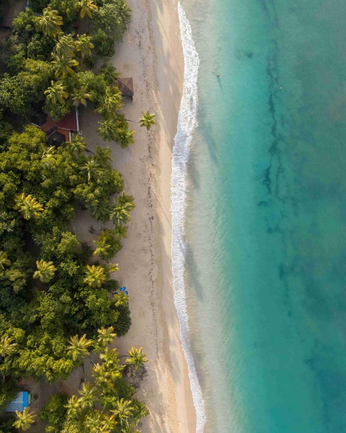Martinique Hintergrundillustration