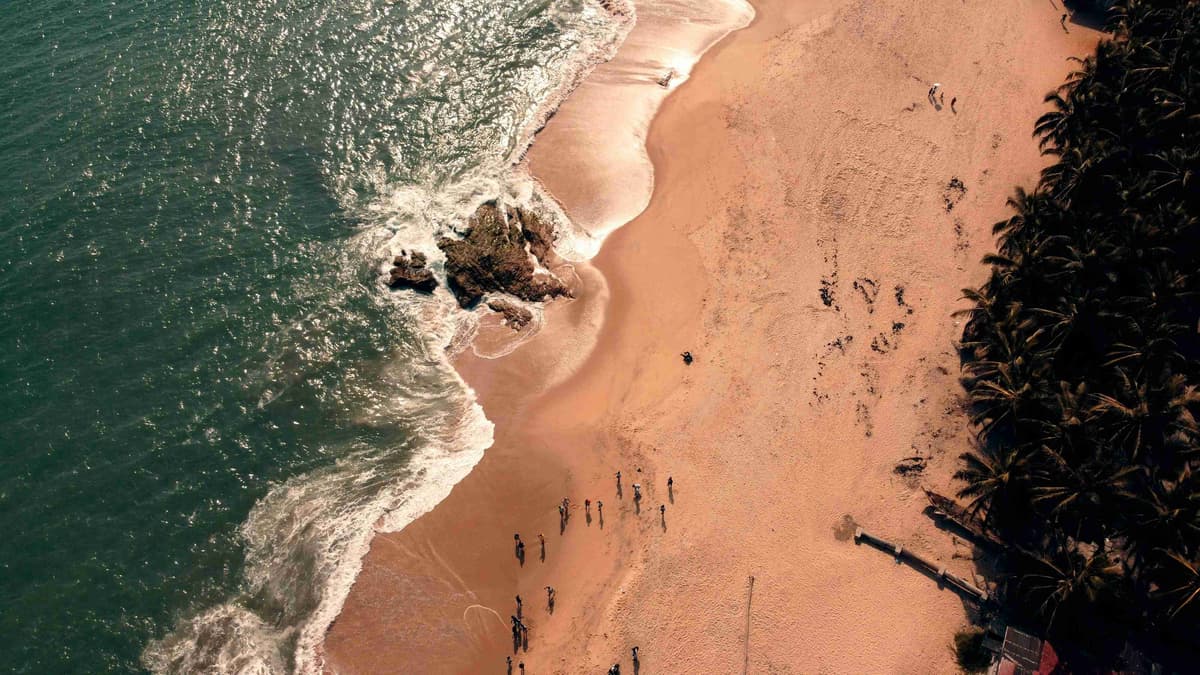 Tropical Beach Aerial View