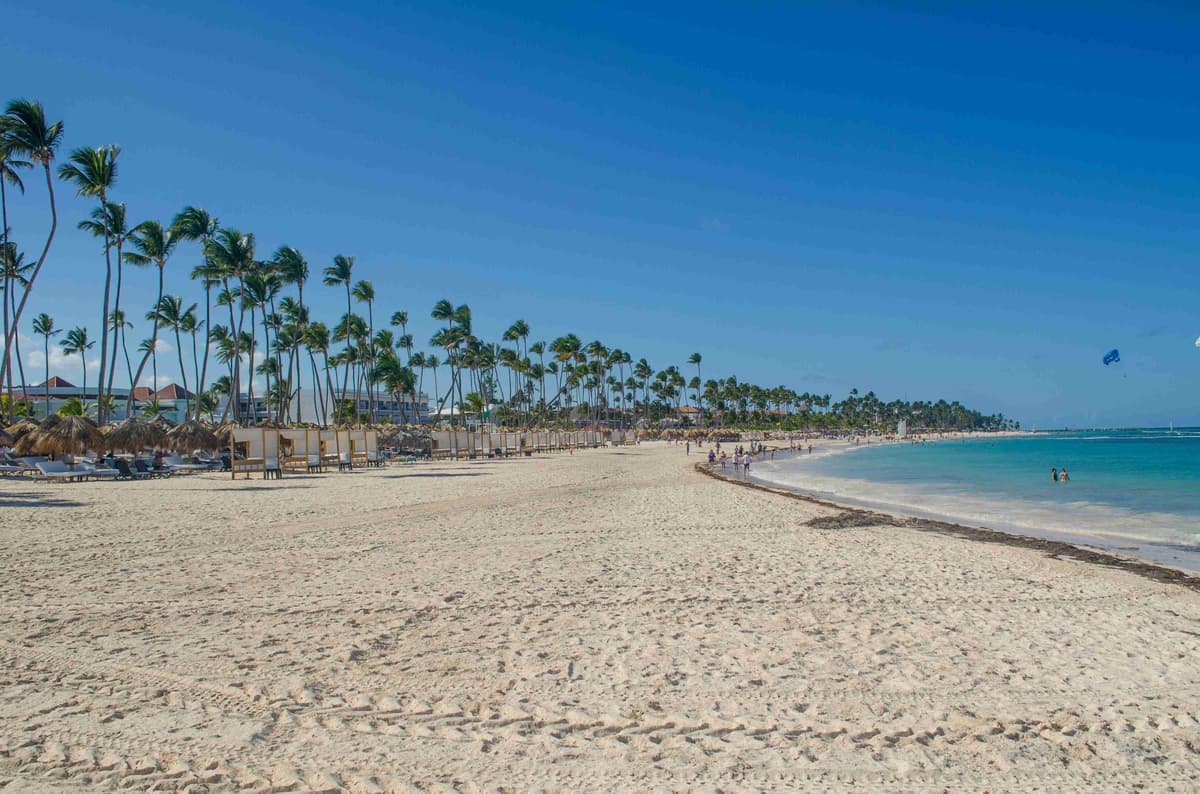 สวรรค์หาดทรอปิคัลพร้อมต้นปาล์ม