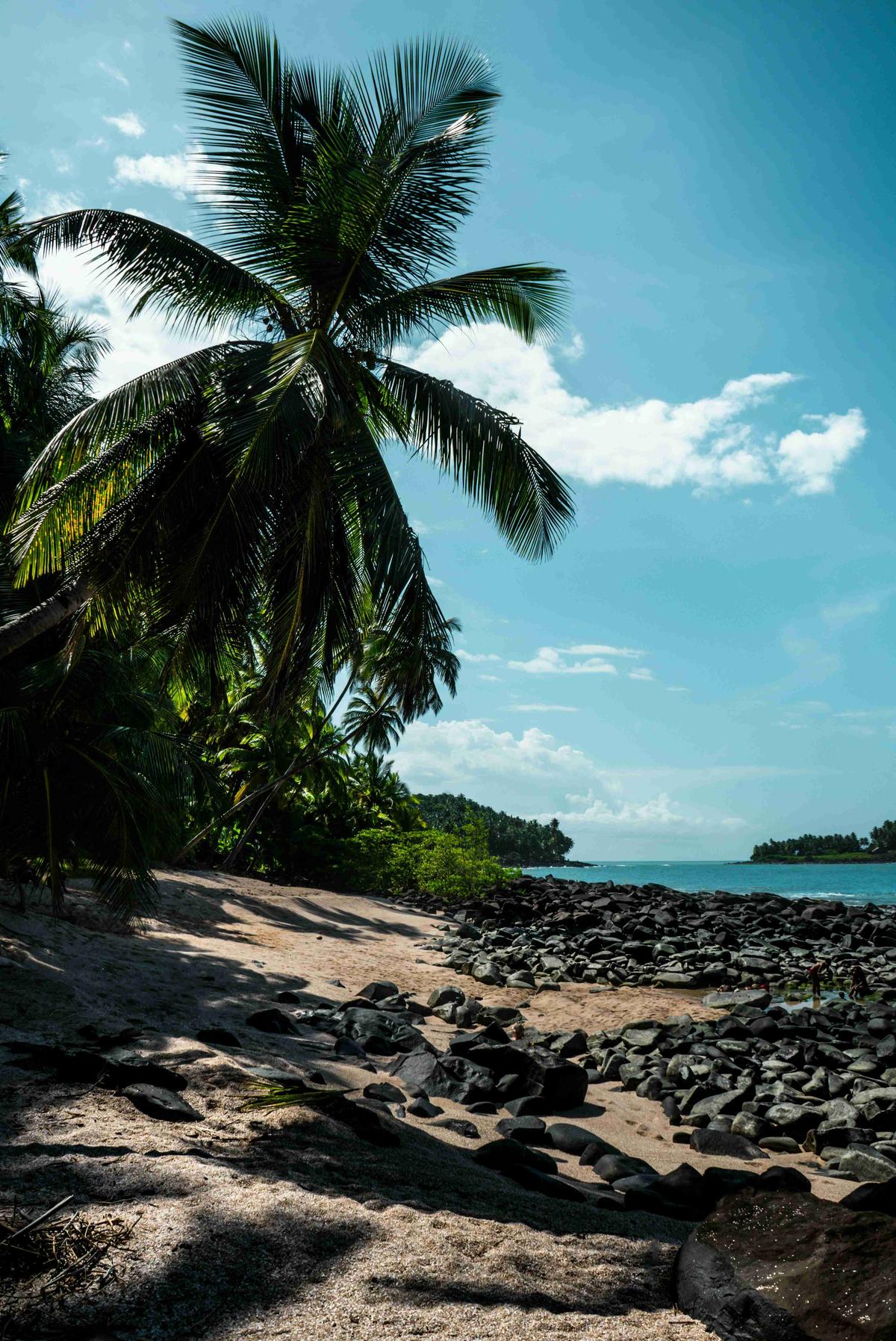 French Guiana Hintergrundillustration
