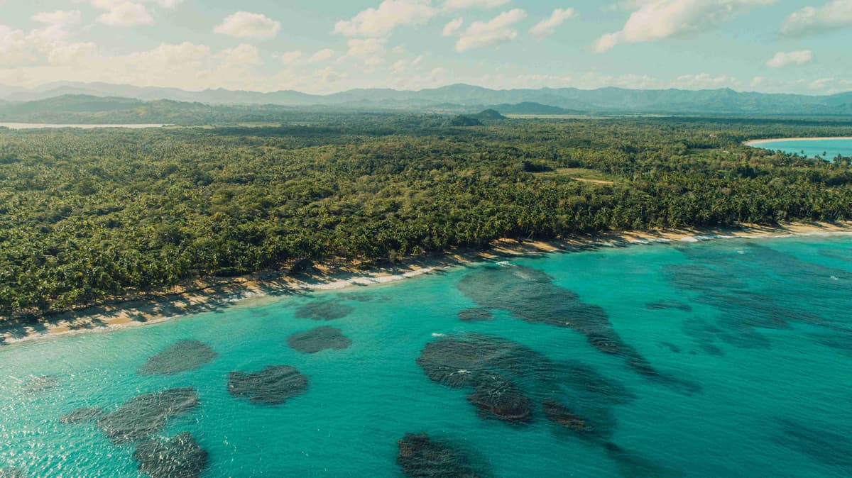 Tropical Coastline with Coral Reefs and Forest Aerial View