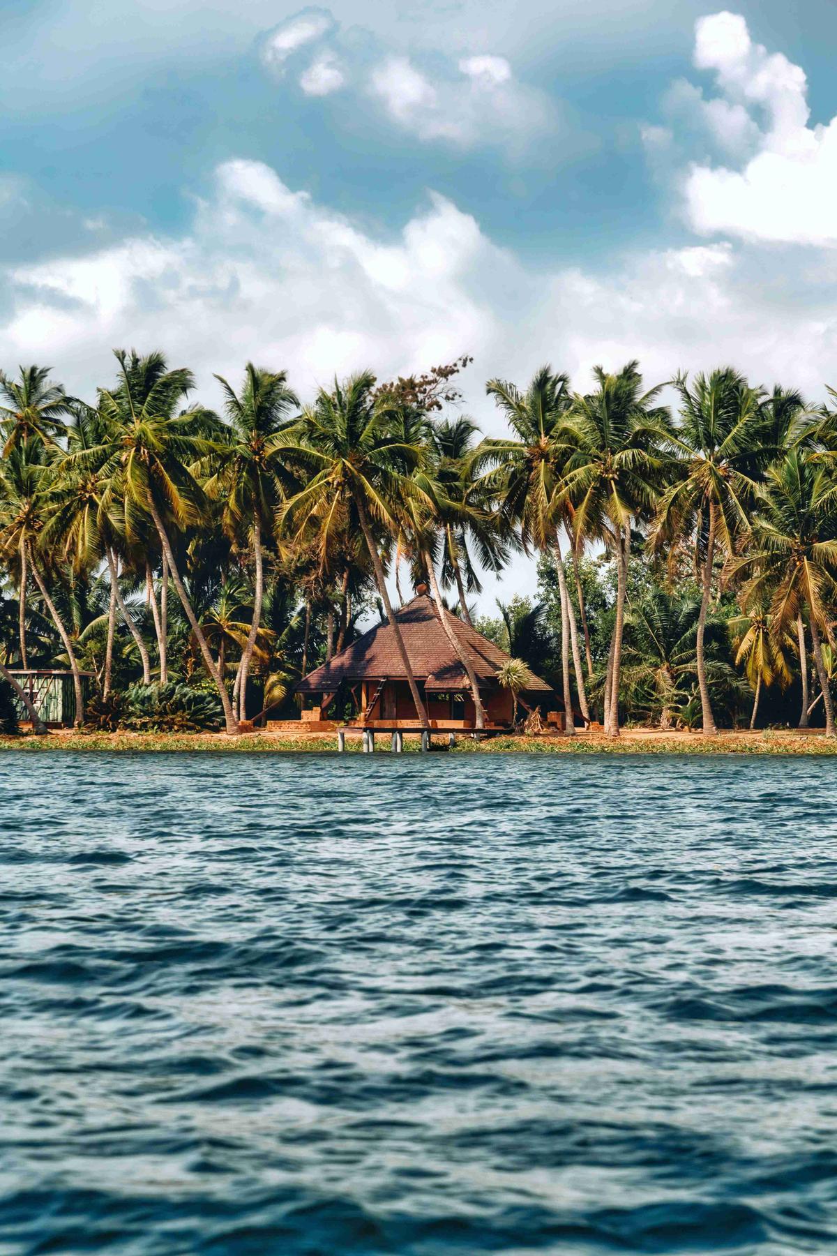 Tropical Riverside Hut Amidst Coconut Palms