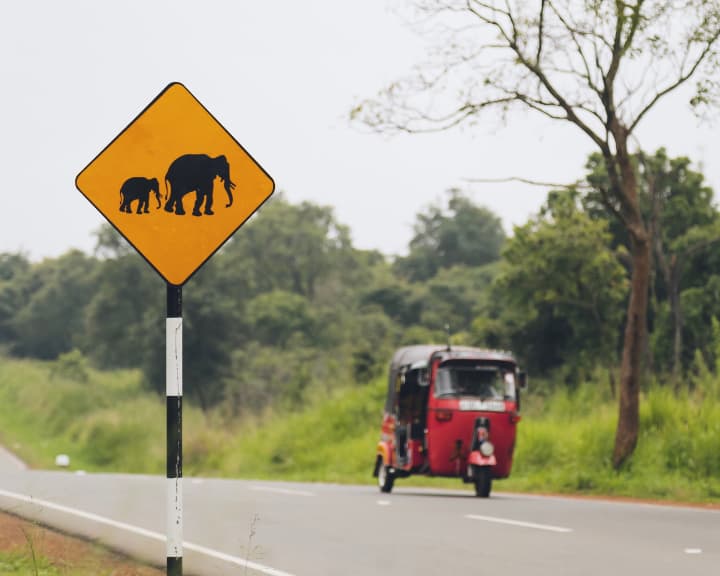 스리랑카의 Elephant Crossing 표지판