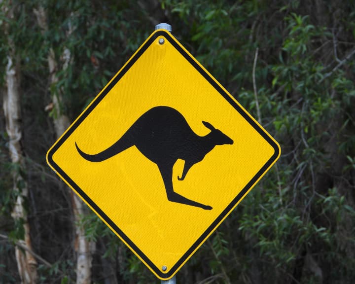 Grundandet av skylten Kangaroo Crossing