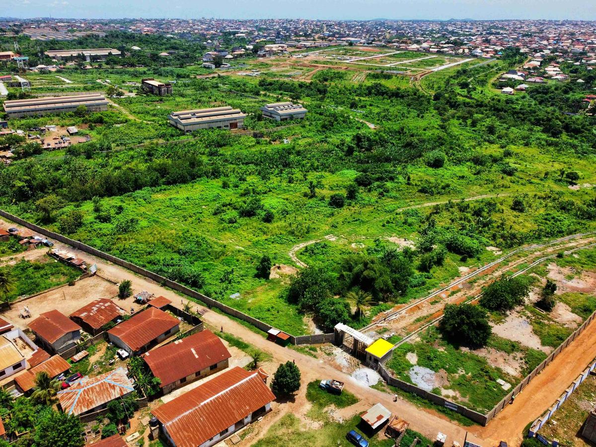 Urban Greenery and Development Aerial View