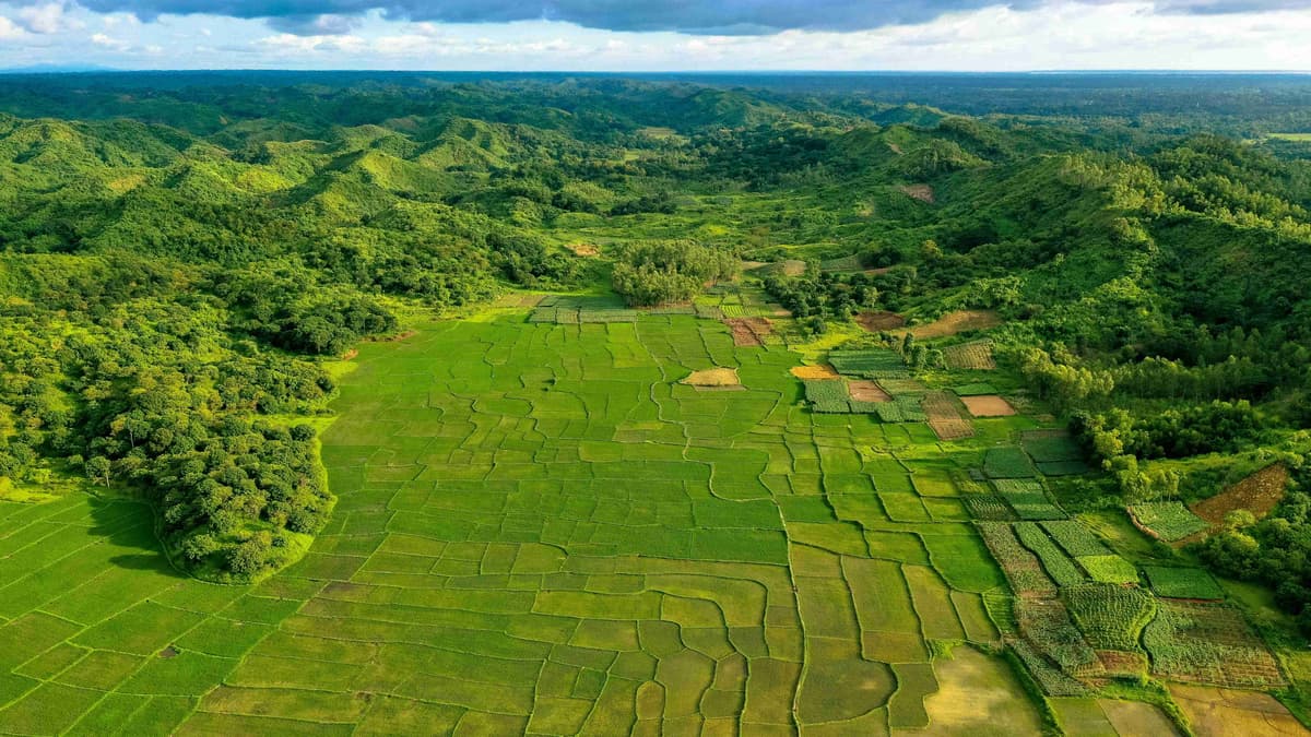 Luftaufnahme von grünen Hügeln und Patchwork-Feldern