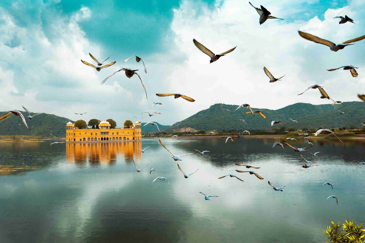 Water Palace with Flying Birds Reflection