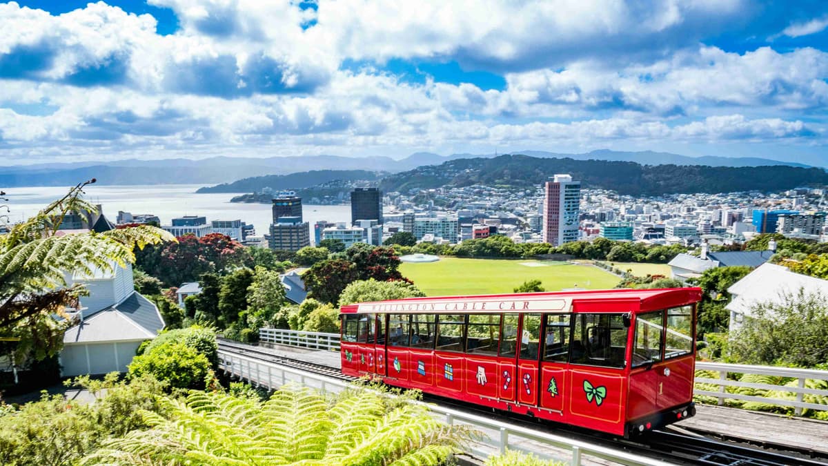 Wellington Cable Car Overlooking City and Harbor