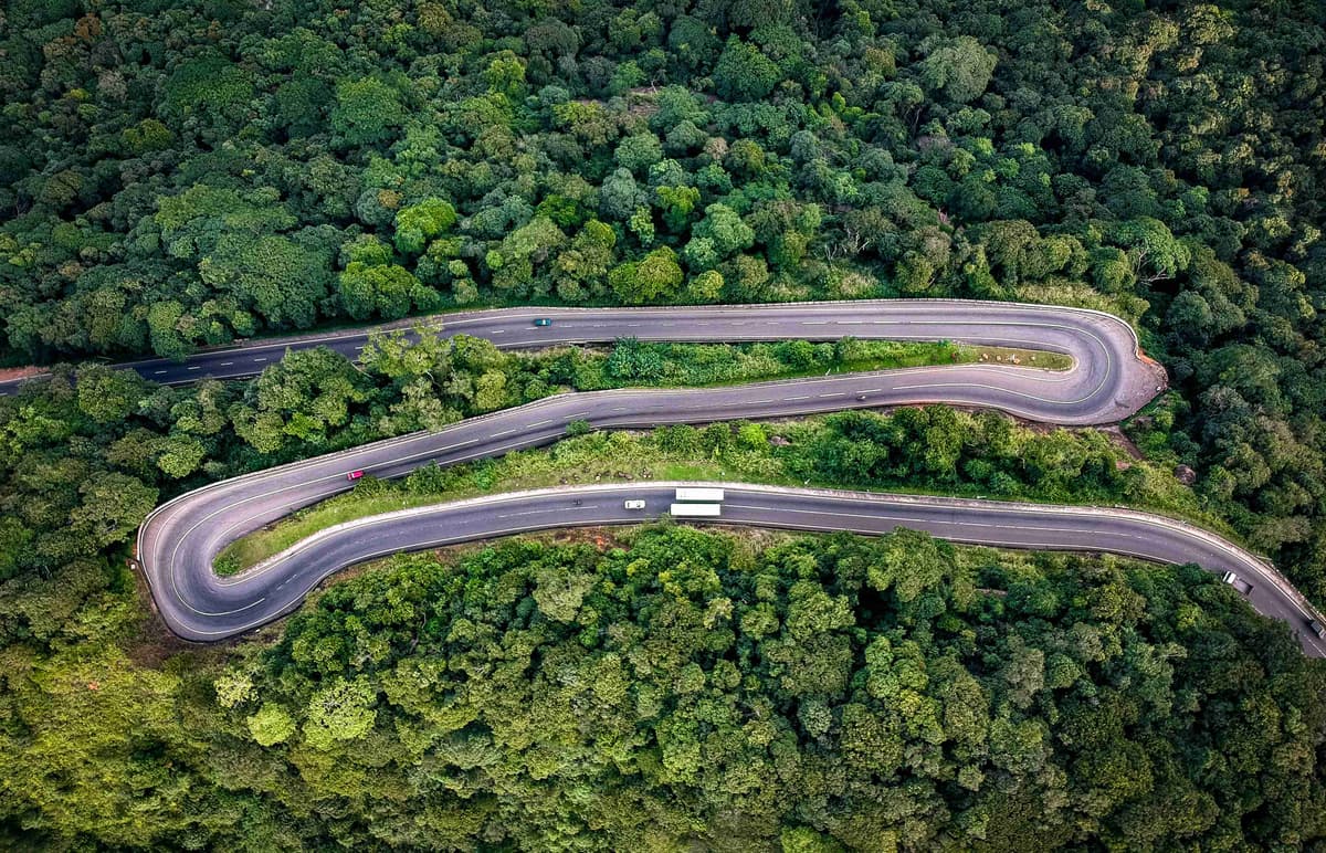 Winding Road Through Green Forest Aerial View
