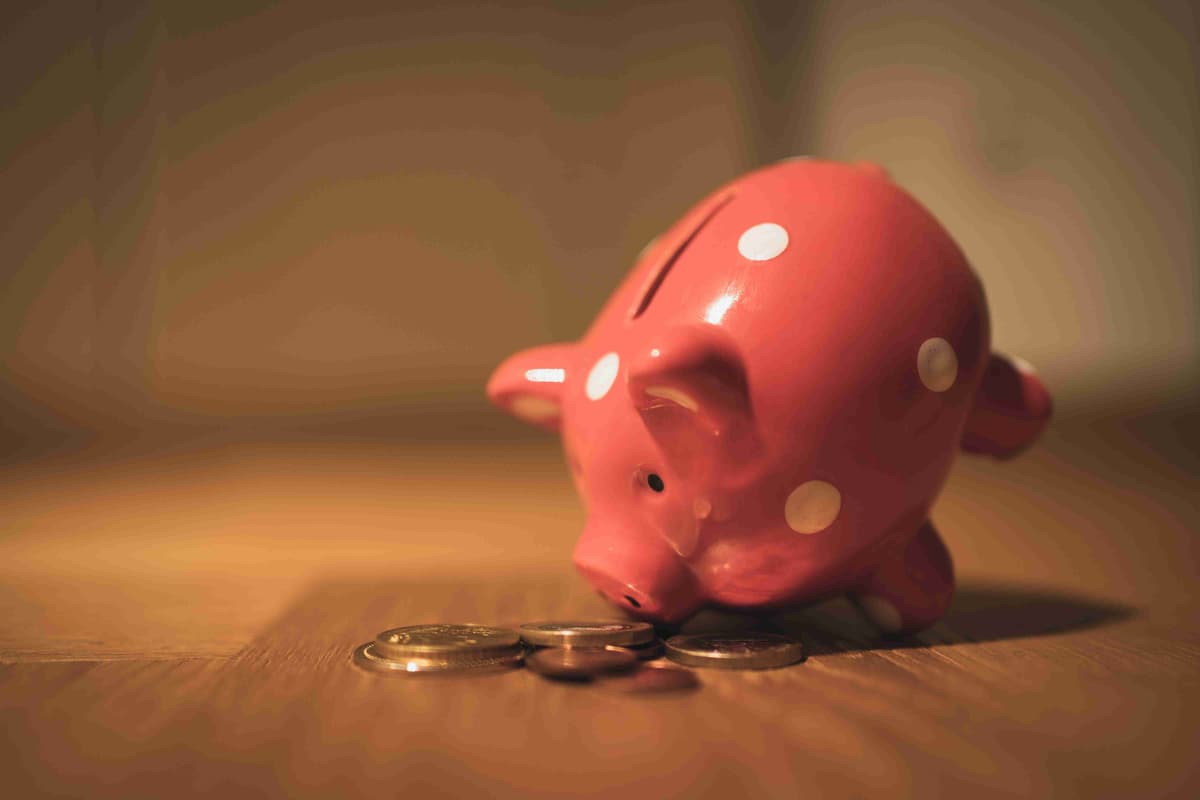 Polka Dotted Piggy Bank and Coins
