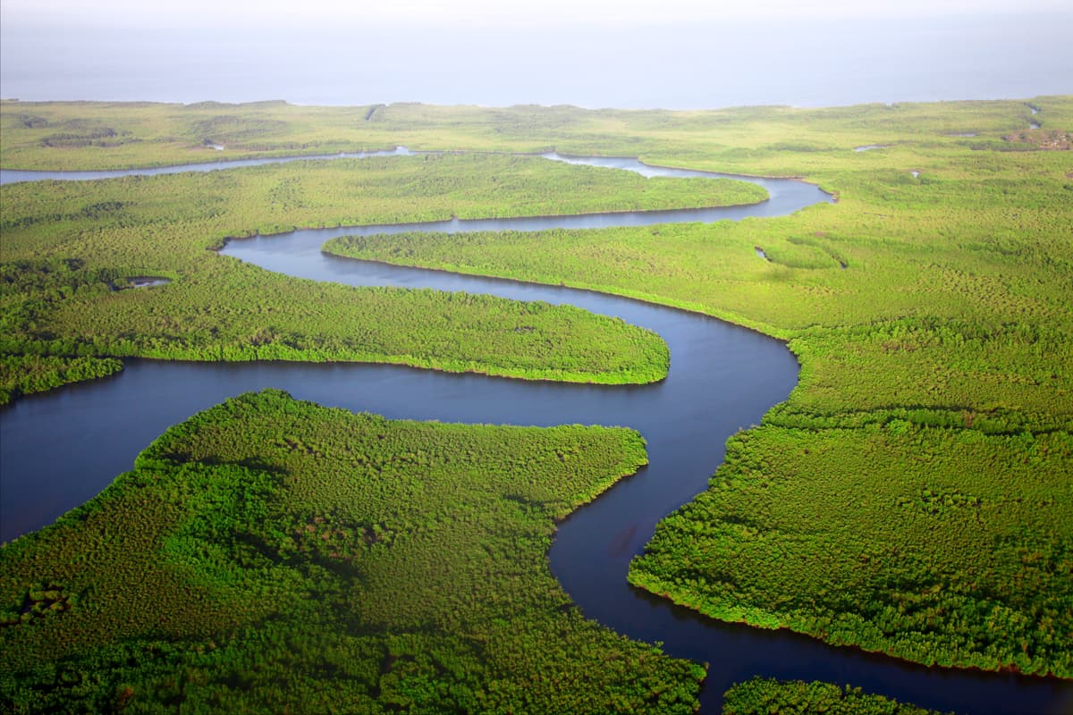 Gambia River af Dan Roizer
