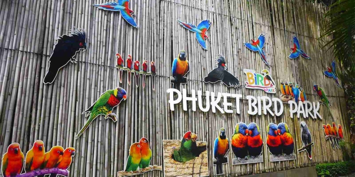 Get Closer to Nature With Phuket Bird Park