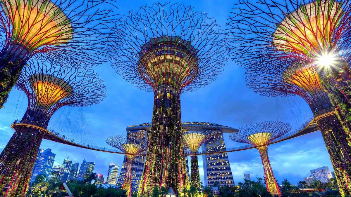 Estructuras Supertree iluminadas en Gardens by the Bay, Singapur.