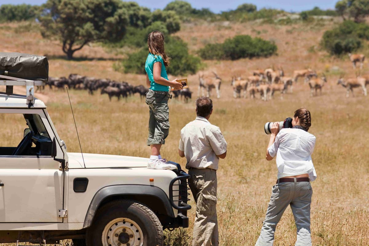 Famiglia in safari che osserva la fauna selvatica