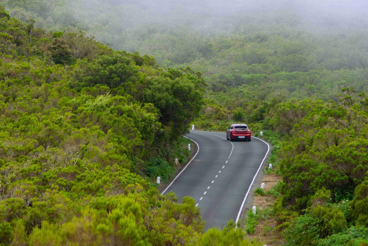 a-car-driving-down-a-road-surrounded-by-trees