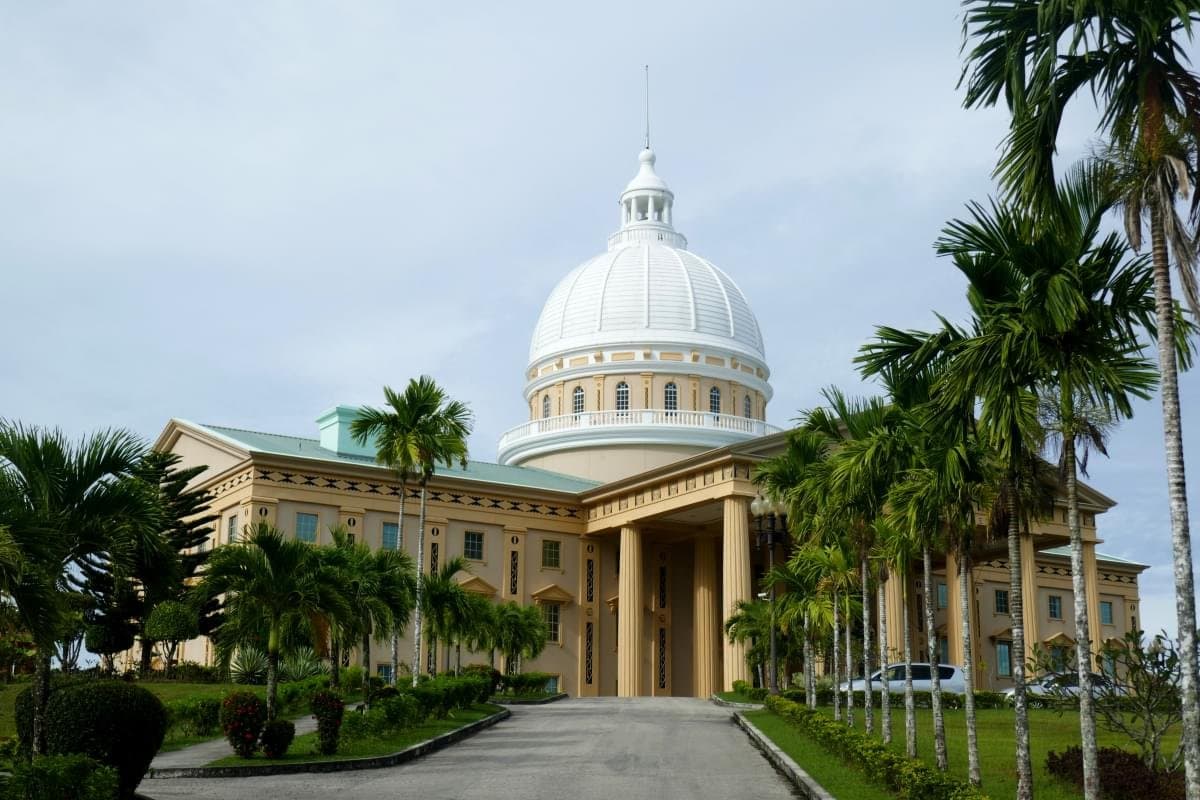 Palau ilustrasyon sa background