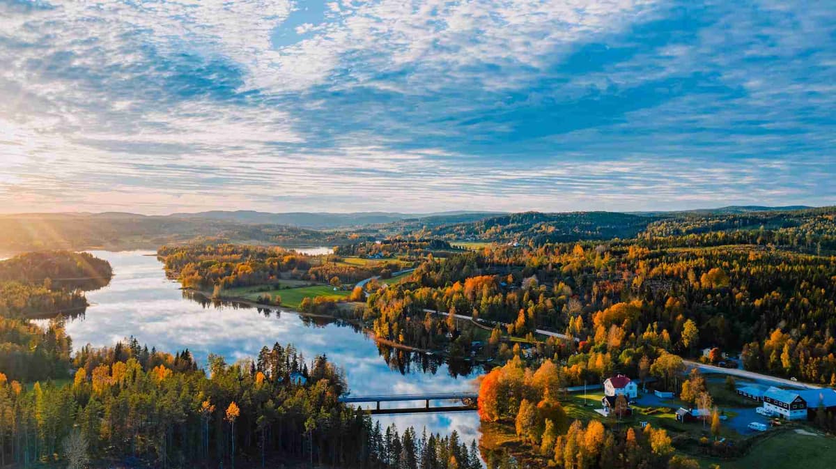Aerial view of a Swedish landscape in autumn with vivid foliage.