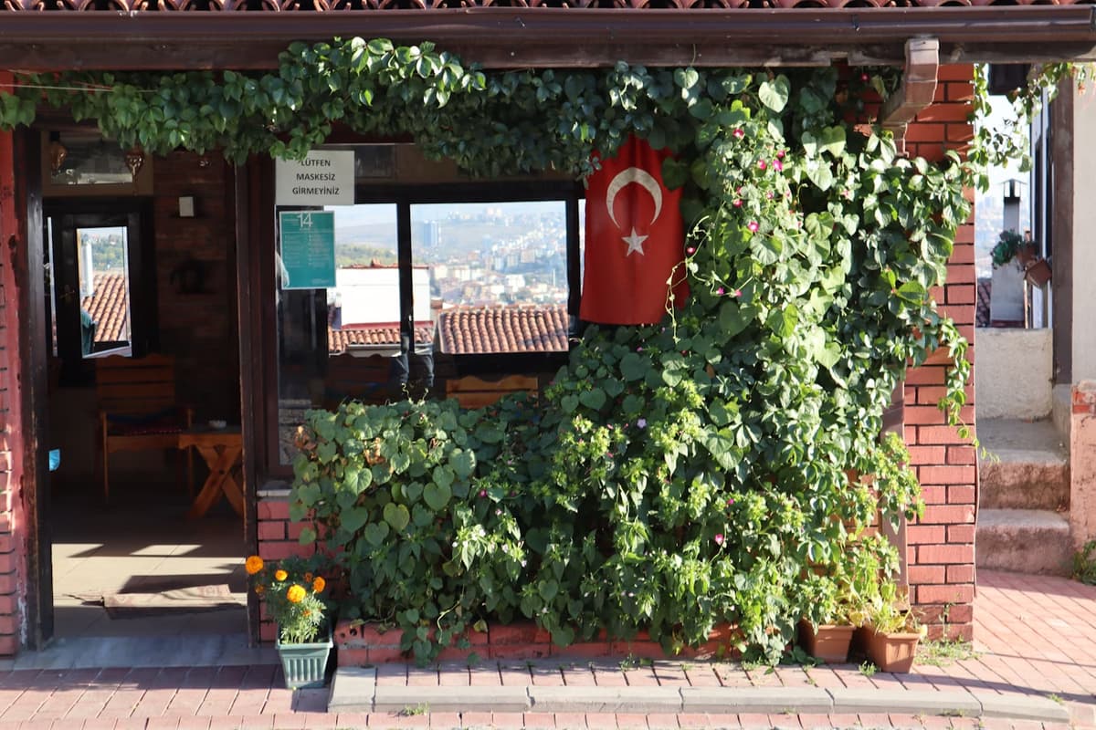 Charming Turkish Café Covered in Greenery