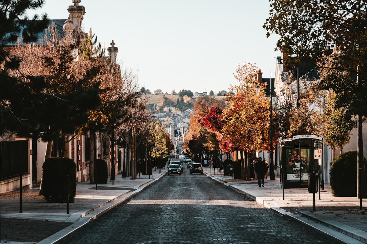 Encantadora calle arbolada en otoño