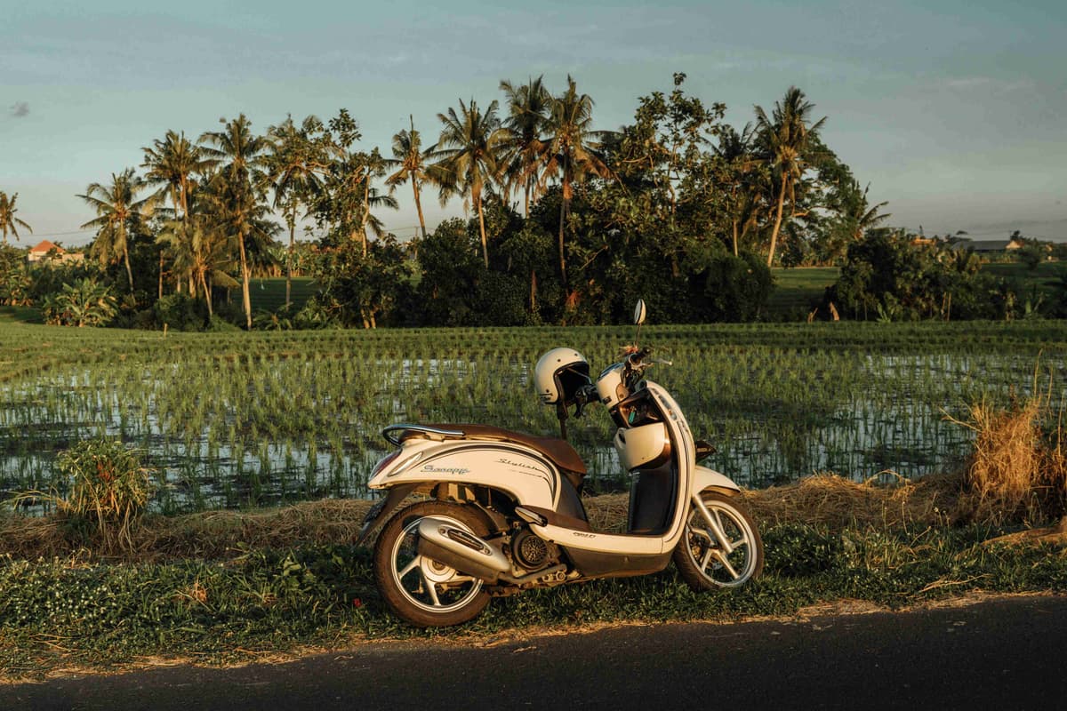 An Extensive Guide To Getting Around Bali For Your Indonesian Trip