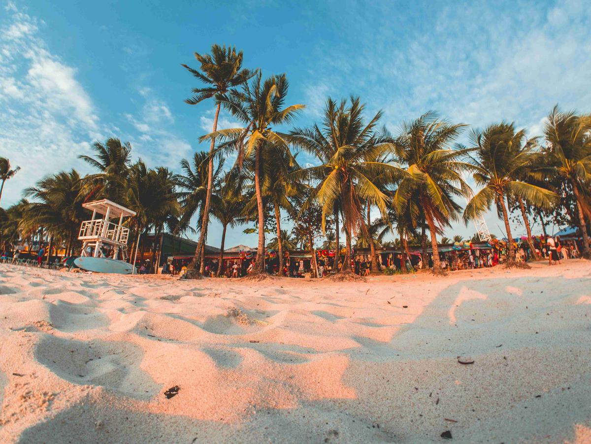 green-coconut-trees-under-by-cirrus-clouds