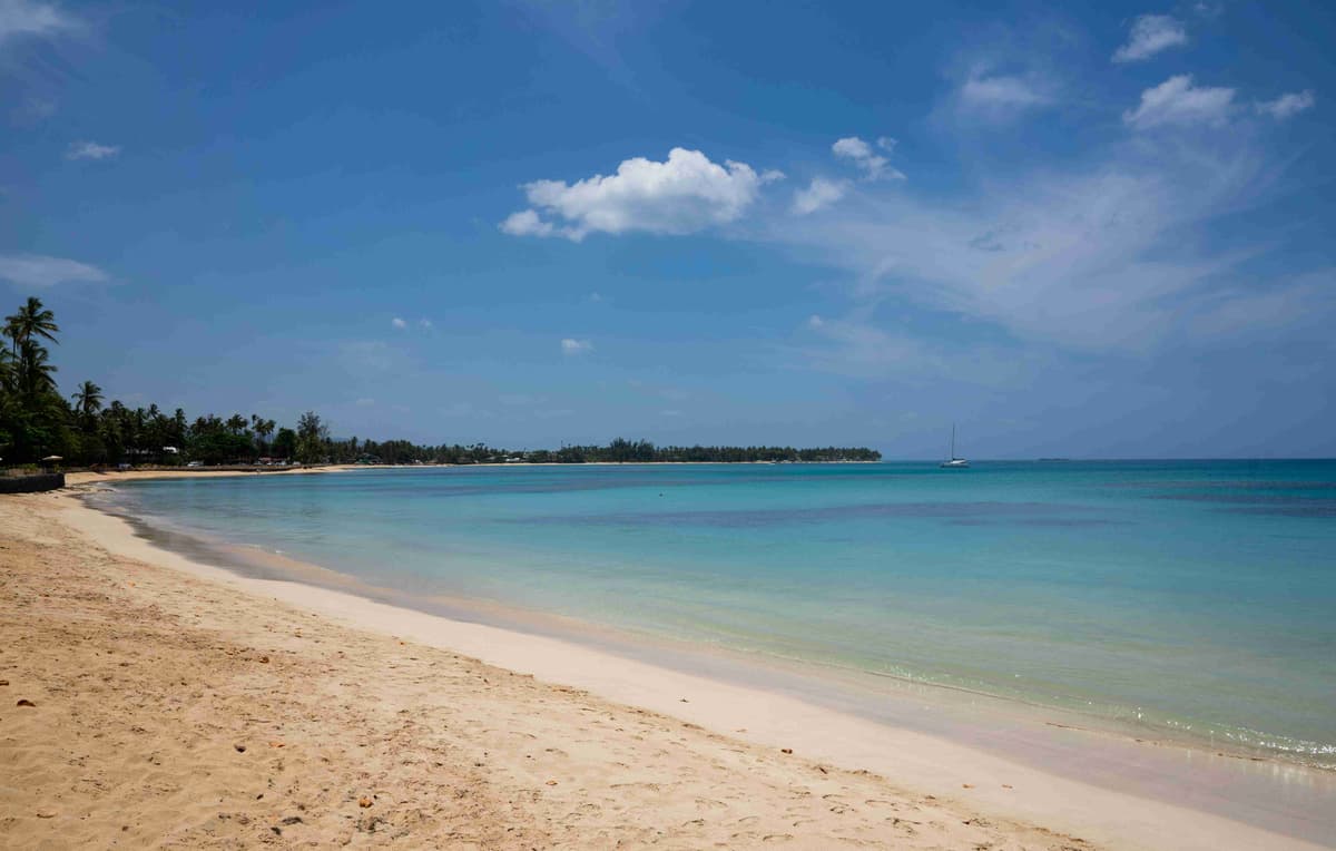 uma-praia-de-areia-com-água-azul-clara-e-palmeiras