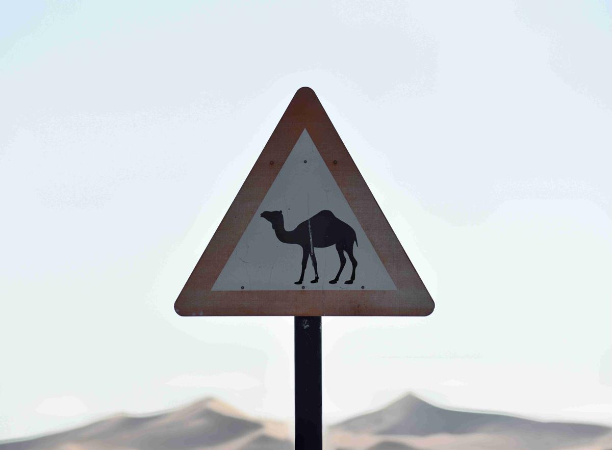 Le panneau Camel Crossing aux Émirats arabes unis